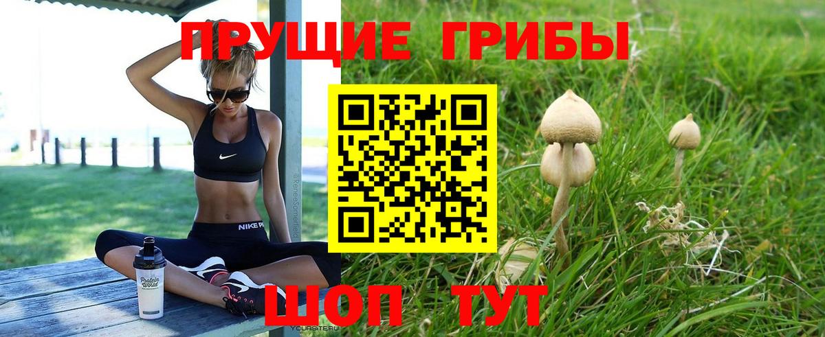Псилоцибиновые грибы MAGIC MUSHROOMS Канаш