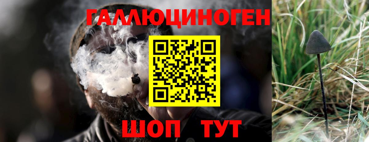 Канаш  Псилоцибиновые грибы Psilocybe  Вход с VPN 